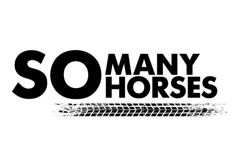 Somanyhorses.ru